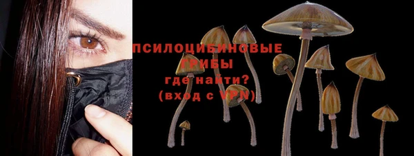 прущая мука Богданович