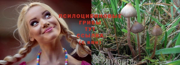 эйфоретик Богородск