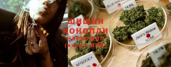 твердый Бородино