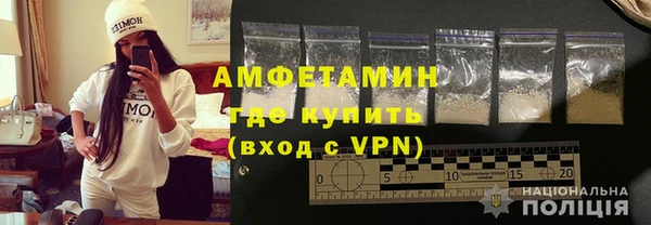 твердый Бородино