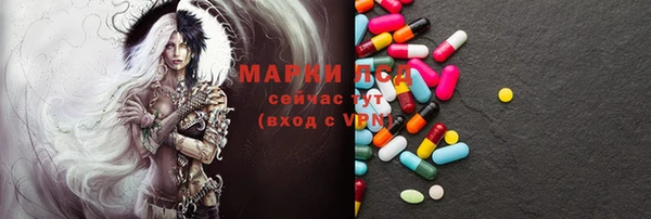 твердый Бородино