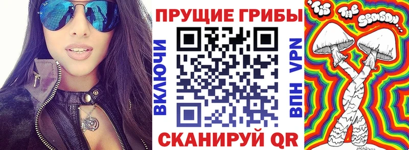 Галлюциногенные грибы Cubensis  Гремячинск 